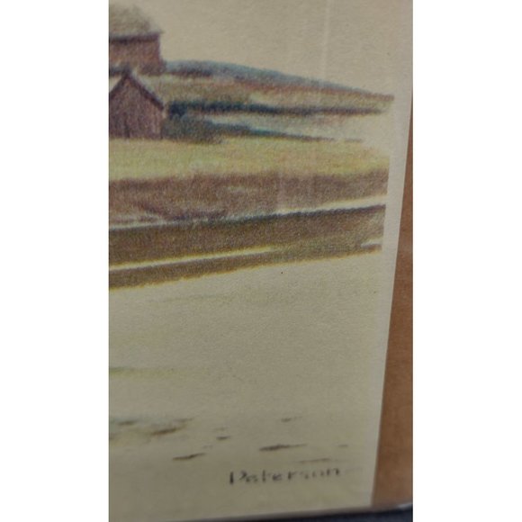 Peterson Print Kingfisher 11 Wide by 12.5 High Inches - Picture 7 of 8